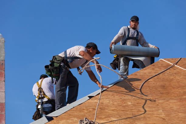 Best Metal Roofing Contractor  in North Barrington, IL